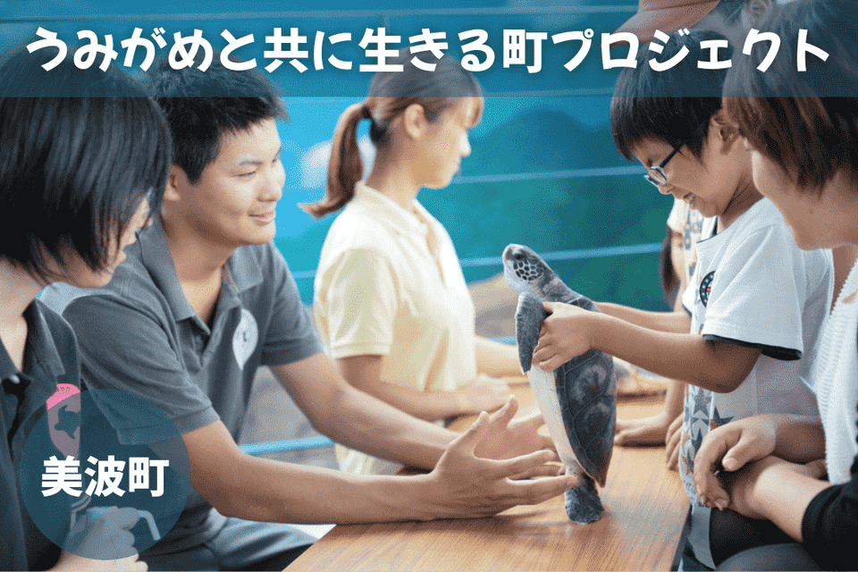 うみがめと共に生きる町プロジェクト