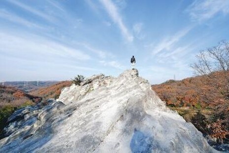 観光資源魅力向上事業 どんづる峯の整備プロジェクト