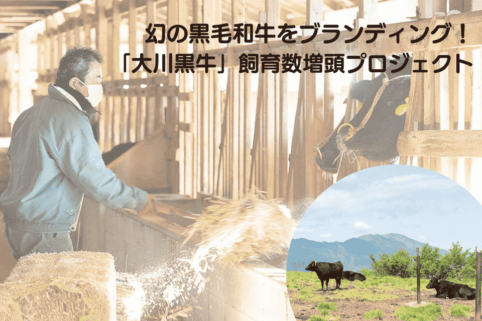 幻の黒毛和牛をブランディング！「大川黒牛」飼育数増頭プロジェクト