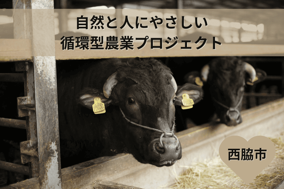 自然と人にやさしい循環型農業プロジェクト