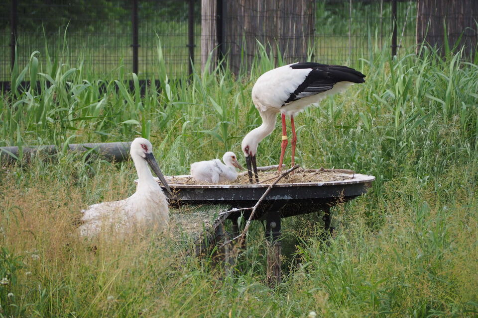循環型社会応援プロジェクト