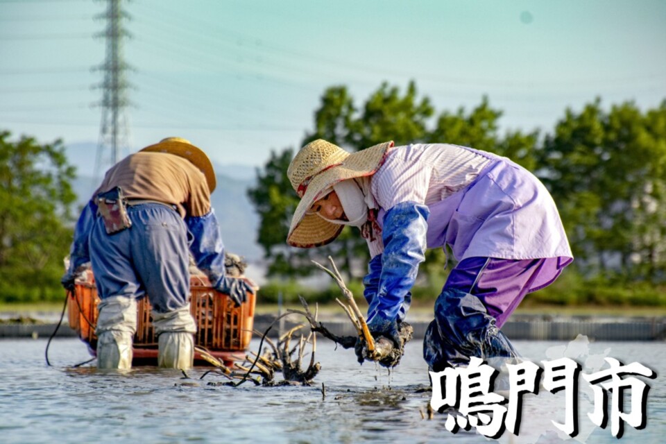 イ 「鳴門」に仕事をつくる事業