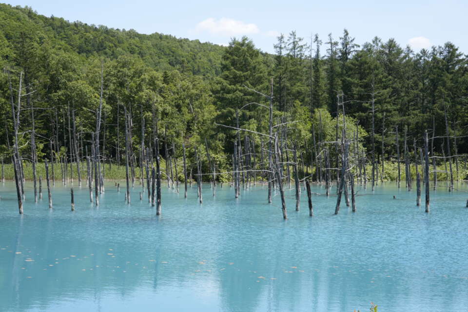 美瑛町まち・ひと・しごと創生総合推進計画