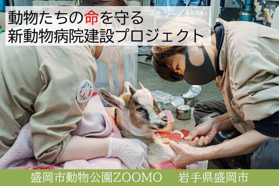 新動物病院建設プロジェクト