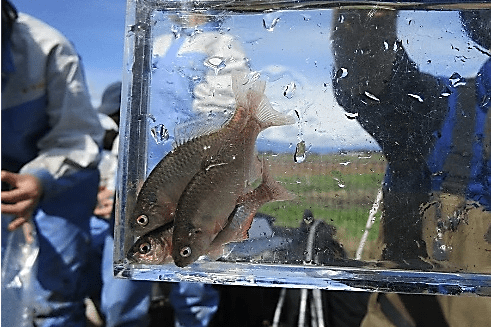 ネイチャーポジティブ実現プロジェクト