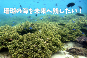 竹ケ島海域公園魅力化プロジェクト