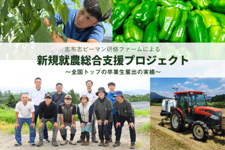 プロジェクト画像