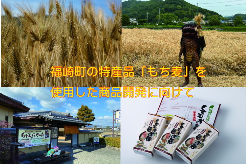 福崎町の特産品「もち麦」を使用した商品開発に向けて