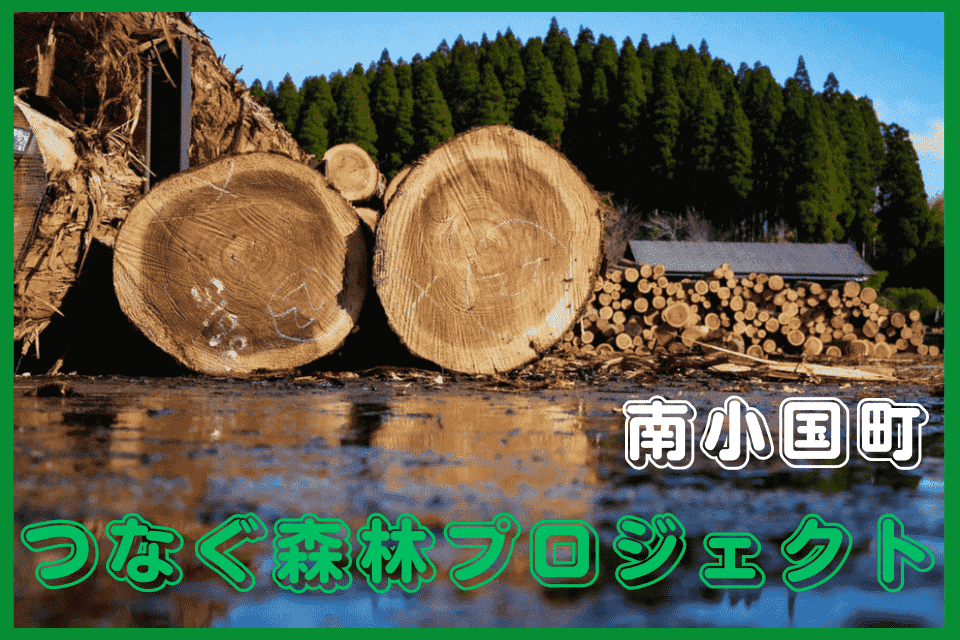 つなぐ森林プロジェクト