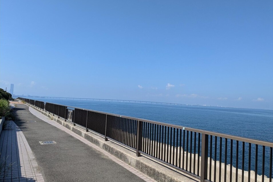 二色南緑地周辺における環境改善・賑わい創出プロジェクト