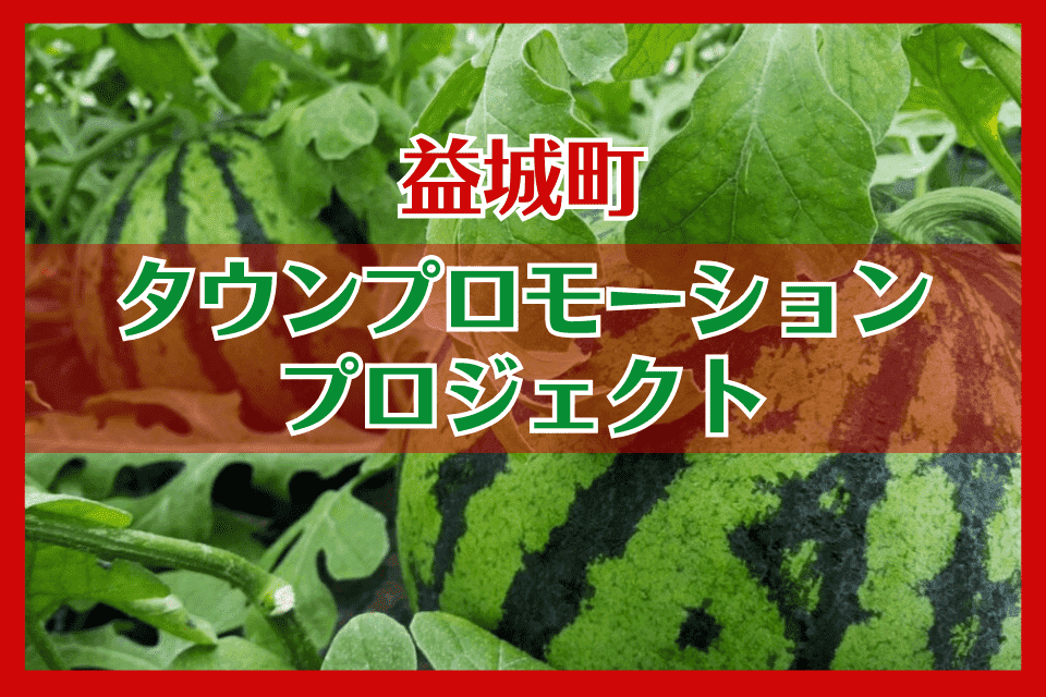 タウンプロモーションプロジェクト