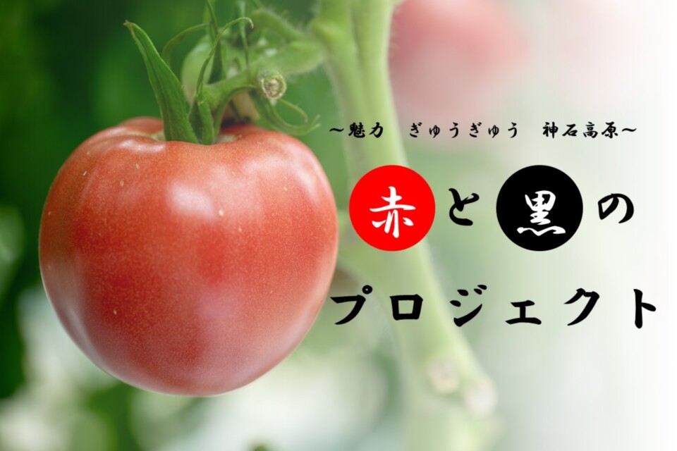 赤と黒のプロジェクト推進事業