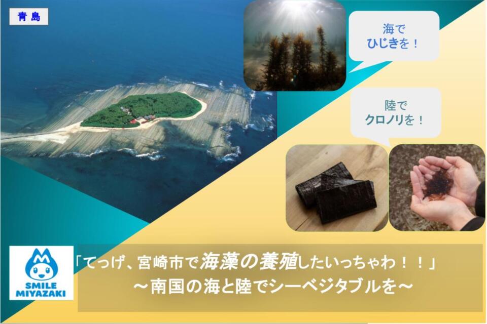 「てっげ、宮崎市で海藻を養殖したいっちゃわ！！」〜南国の海と陸でシーベジタブルを〜(海藻養殖実証試験支援事業)