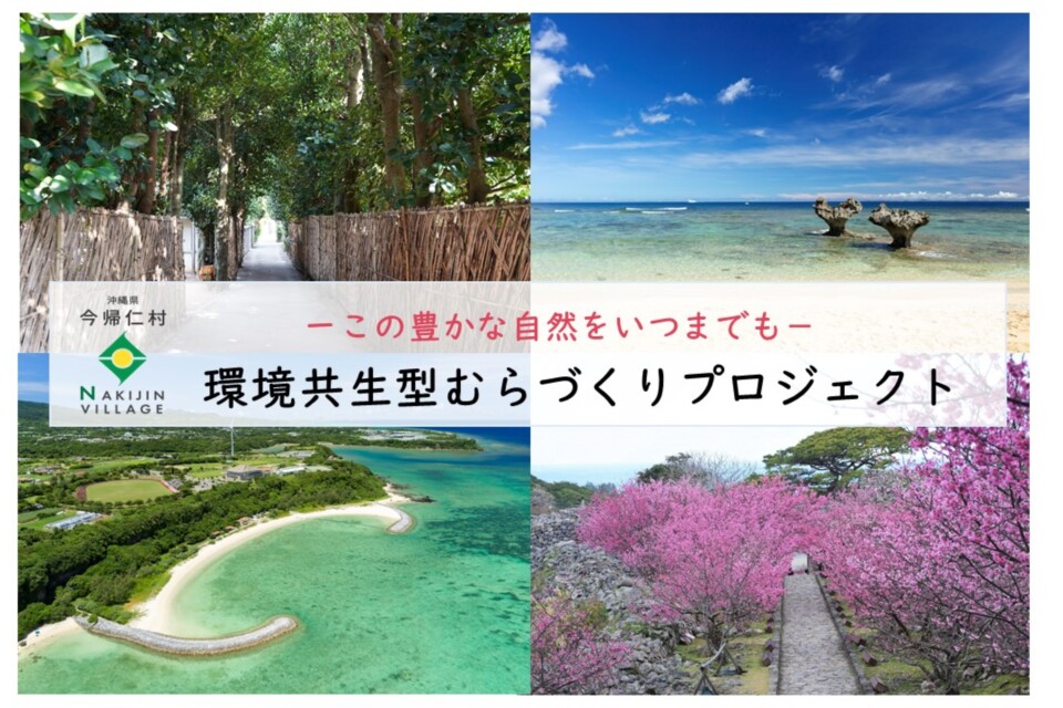 プロジェクト画像