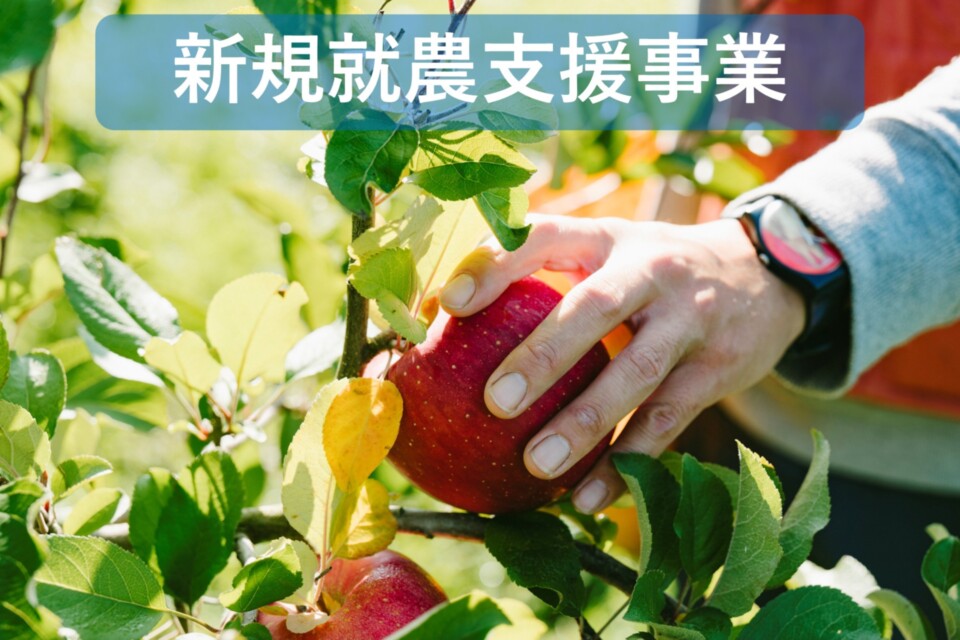 新規就農支援事業