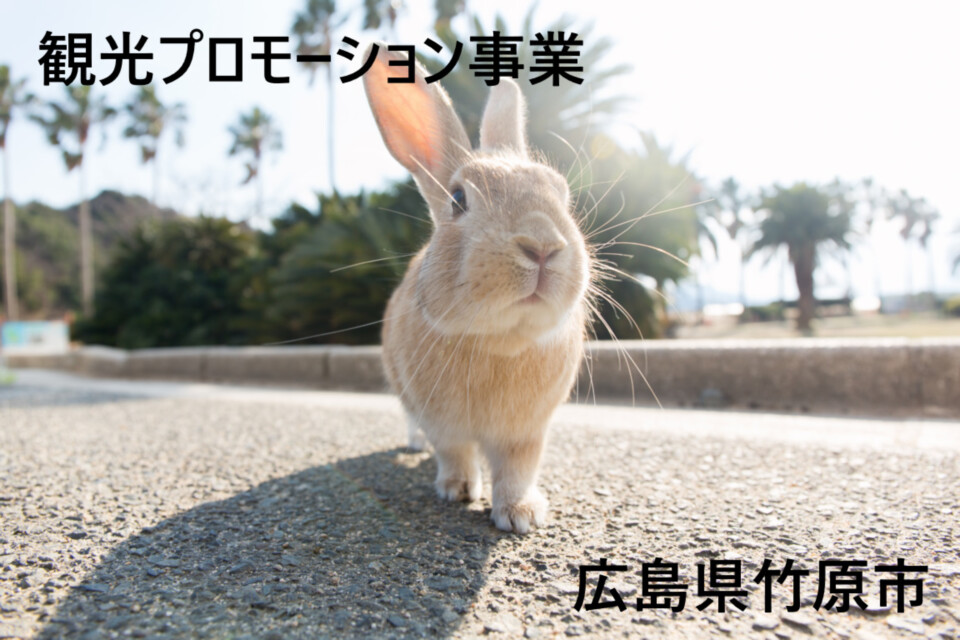 観光プロモーション事業