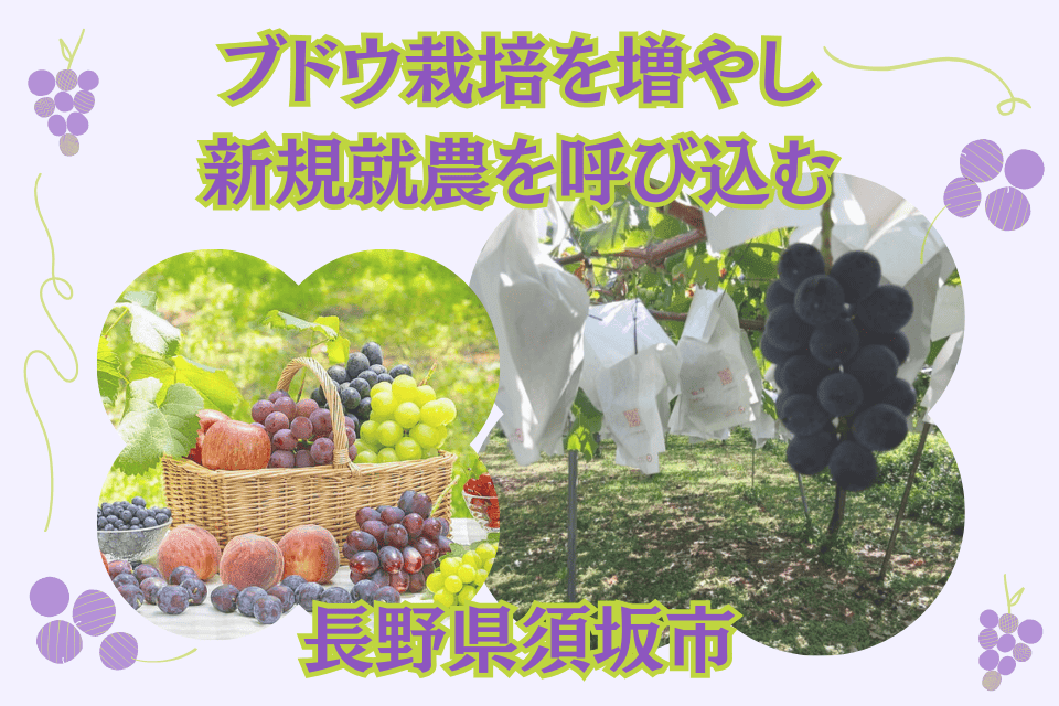 プロジェクト画像