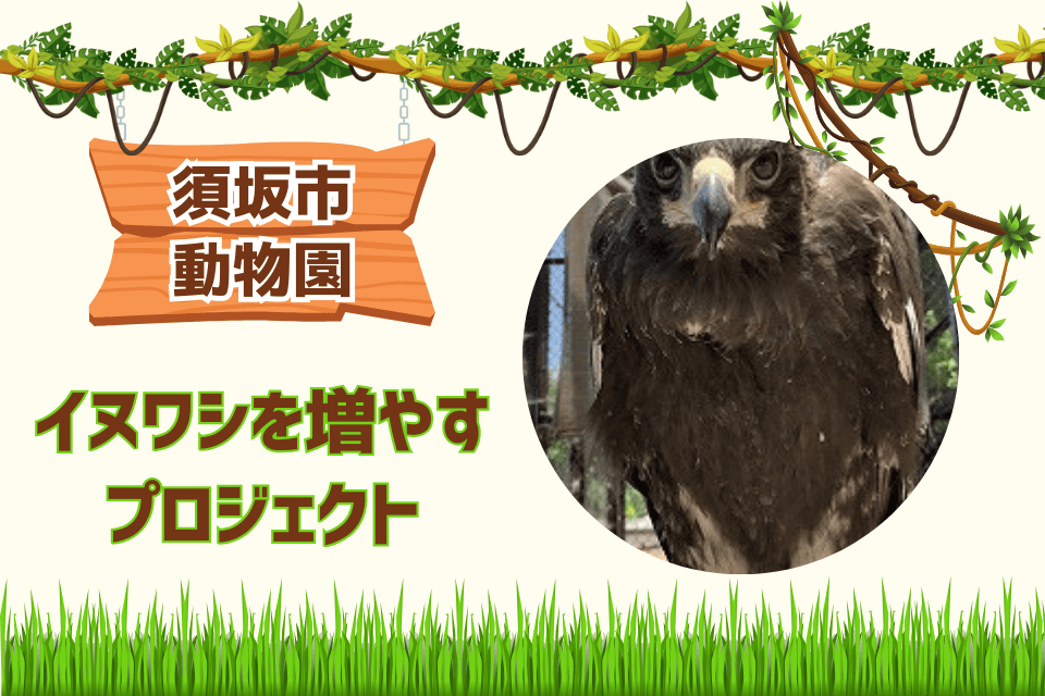 イヌワシを増やすプロジェクト（須坂市動物園）