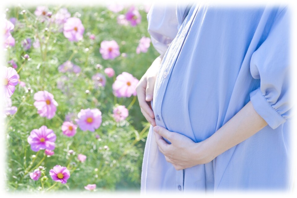 母子保健充実事業