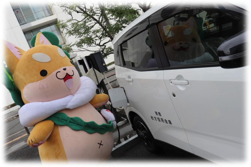 プロジェクト画像