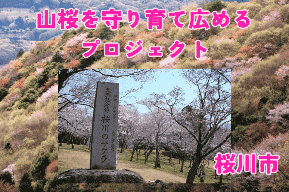 プロジェクト画像