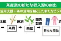 耕作放棄茶園有効活用事業