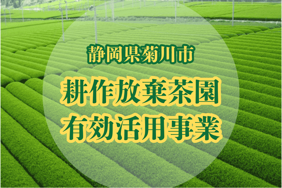 耕作放棄茶園有効活用事業