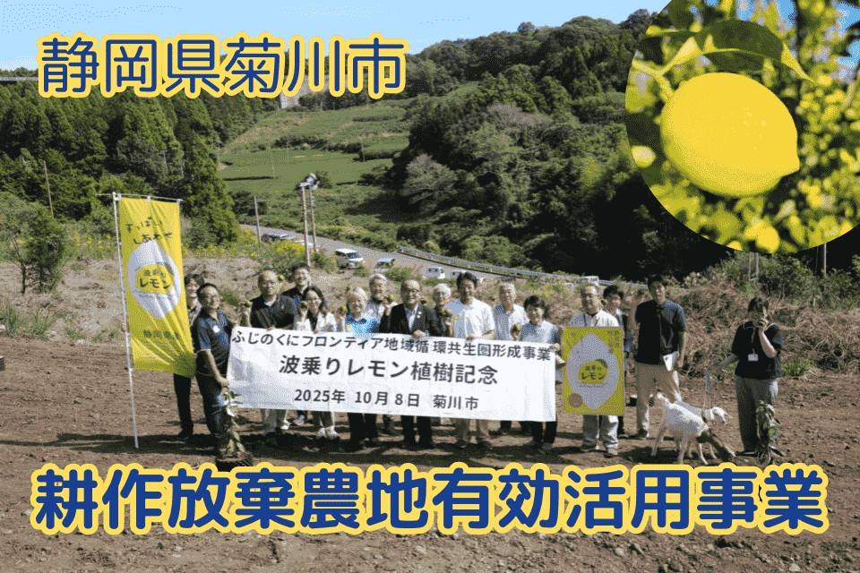 耕作放棄農地有効活用事業