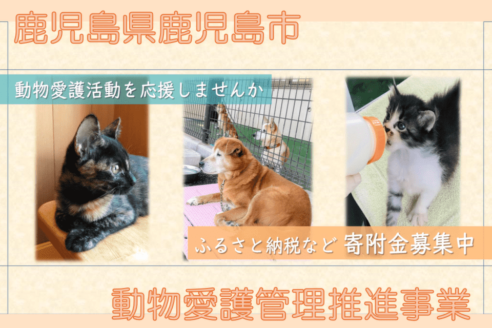 動物愛護管理推進事業