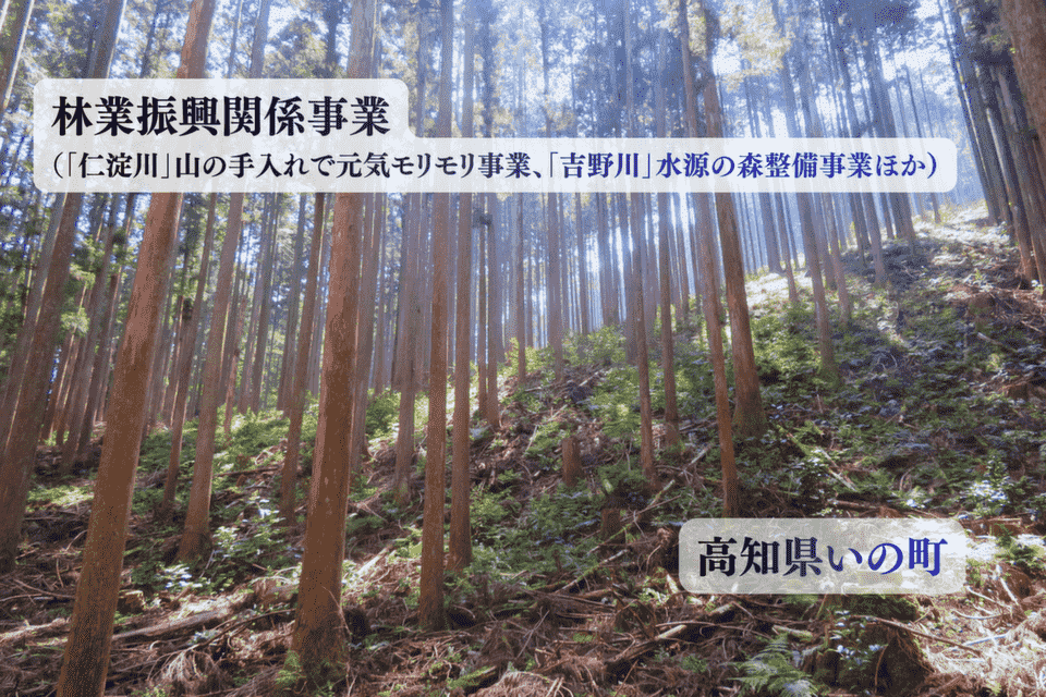 「仁淀川」山の手入れで元気モリモリ事業、「吉野川」水源の森整備事業、など林業振興