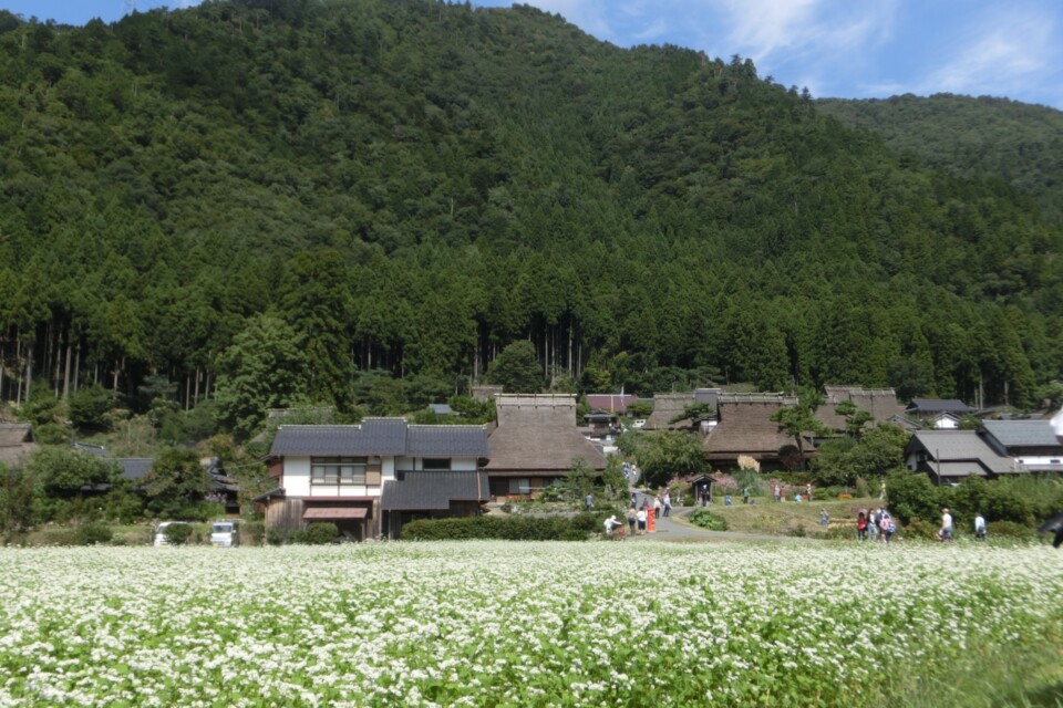 かやぶき景観を次世代へつなぐ事業