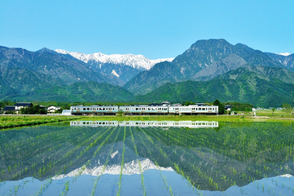 安曇野ちひろ公園管理事業