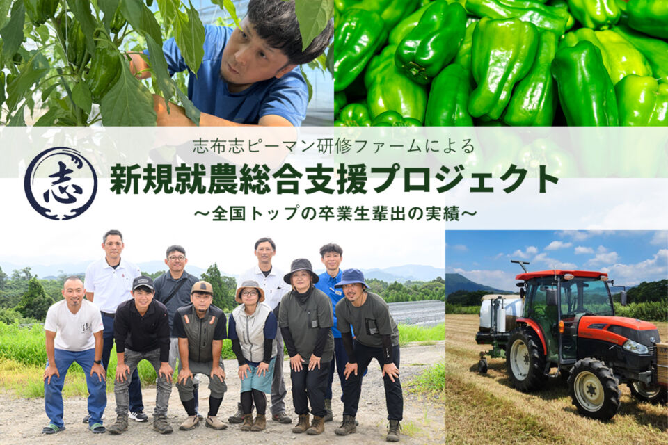 プロジェクト画像