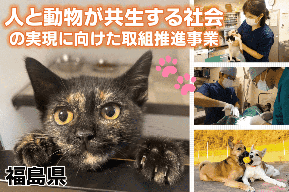 人と動物が共生する社会の実現に向けた取組推進事業