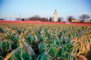 邑楽町で安心して働き、暮らせる邑楽町の生活環境を創出する事業