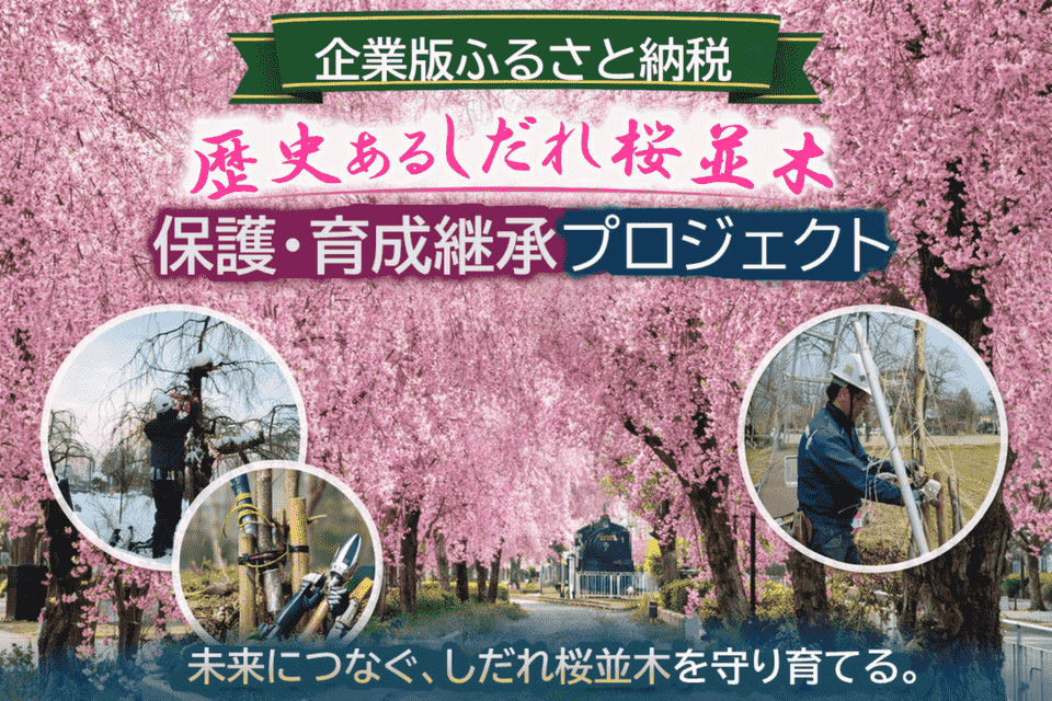 歴史あるしだれ桜並木保護・育成継承プロジェクト