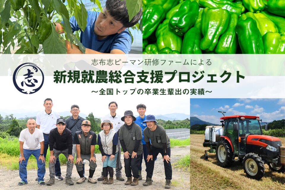 これからの農業は誰が担う？新規就農者増加のためのピーマン研修ファームプロジェクト