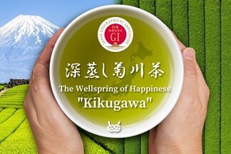 海外輸出専用Webサイト構築事業