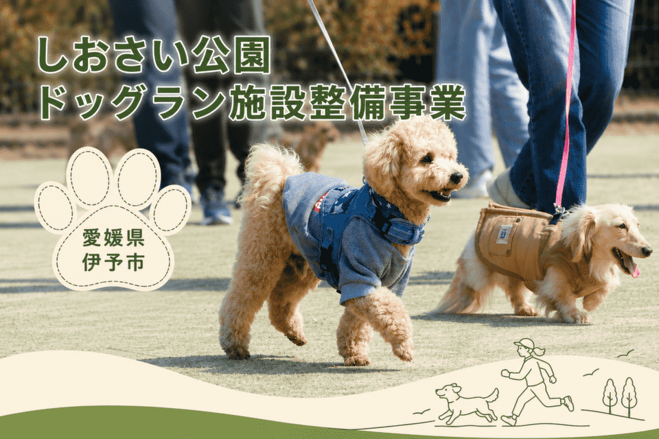 プロジェクト画像