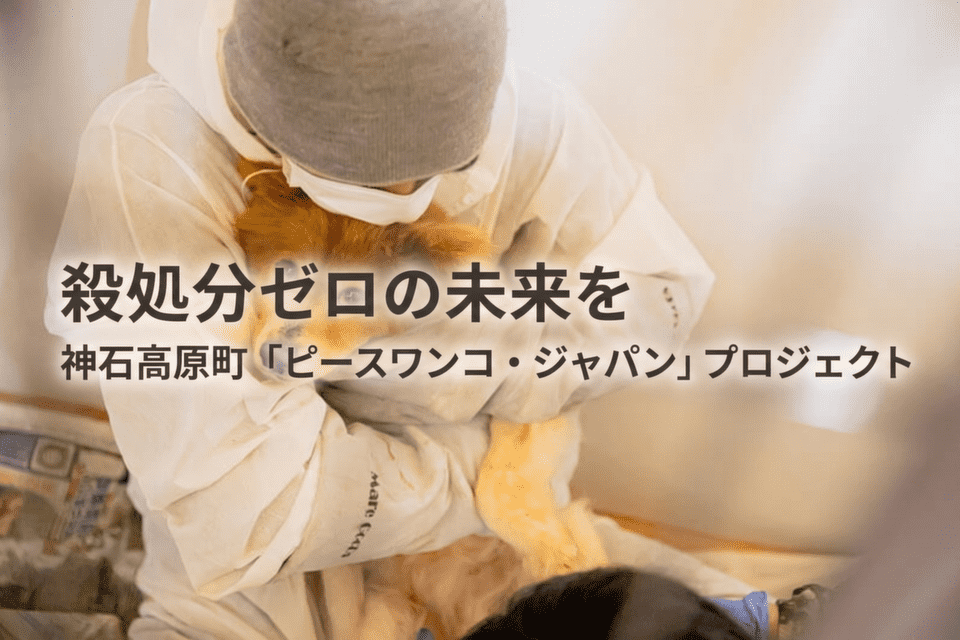 殺処分ゼロの未来を  神石高原町「ピースワンコ・ジャパン」プロジェクト