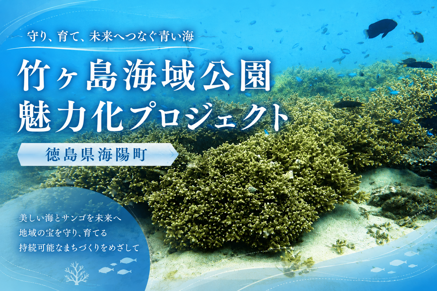 徳島県海陽町-竹ケ島海域公園魅力化プロジェクト