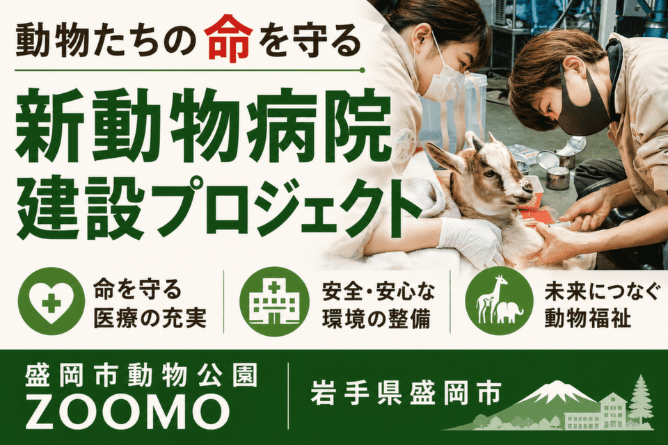 岩手県盛岡市-新動物病院建設プロジェクト