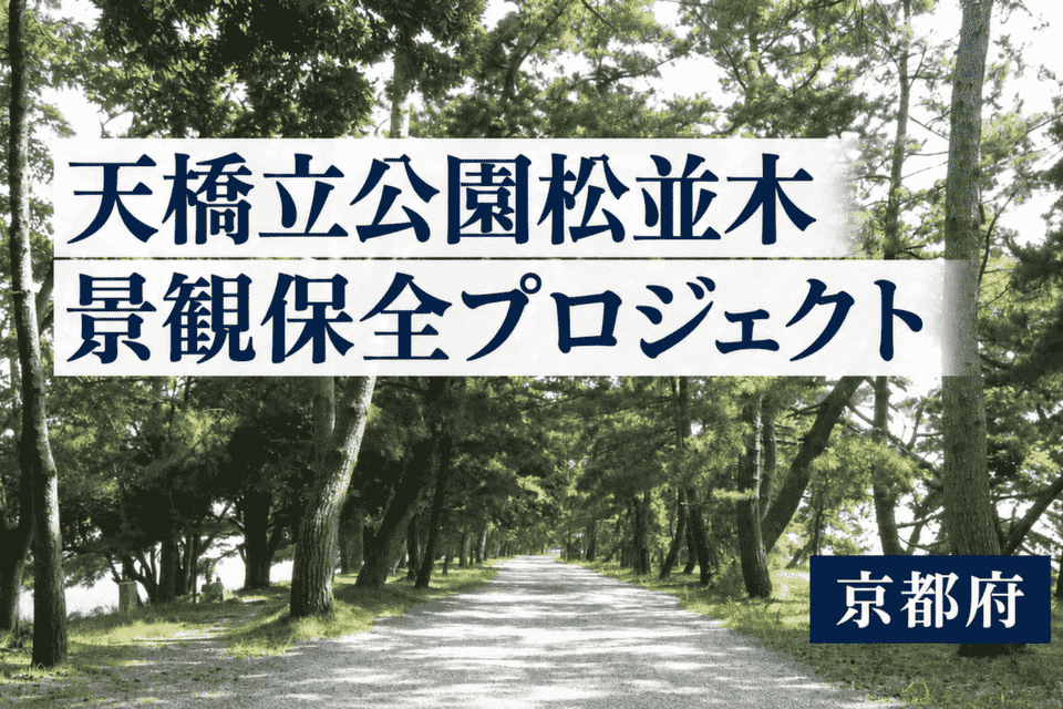 天橋立公園松並木景観保全プロジェクト
