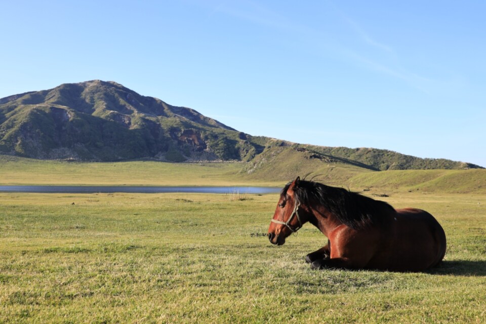 【テスト】熊本地震からの創造的復興！南阿蘇鉄道高森駅周辺の再開発と熊本都市圏へのアクセス強化プロジェクト