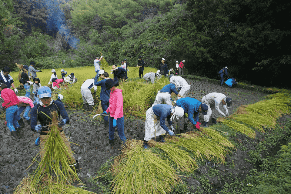 木津川市　千年の里山をつくるプロジェクト