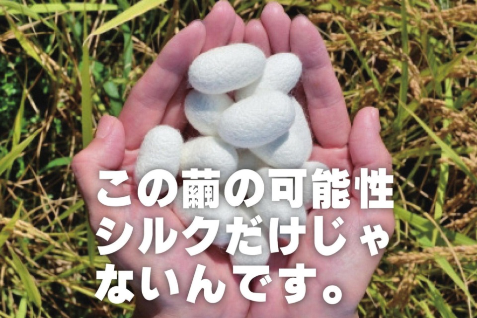 新シルク産業創造プロジェクト