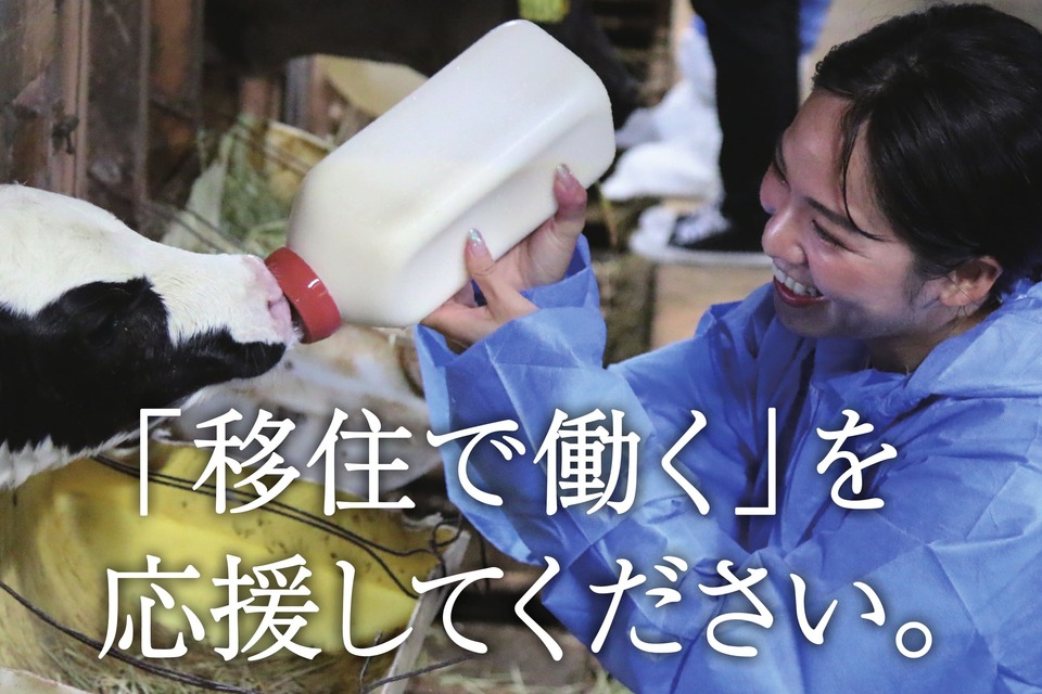 「仕事×移住」地域人材創出プロジェクト