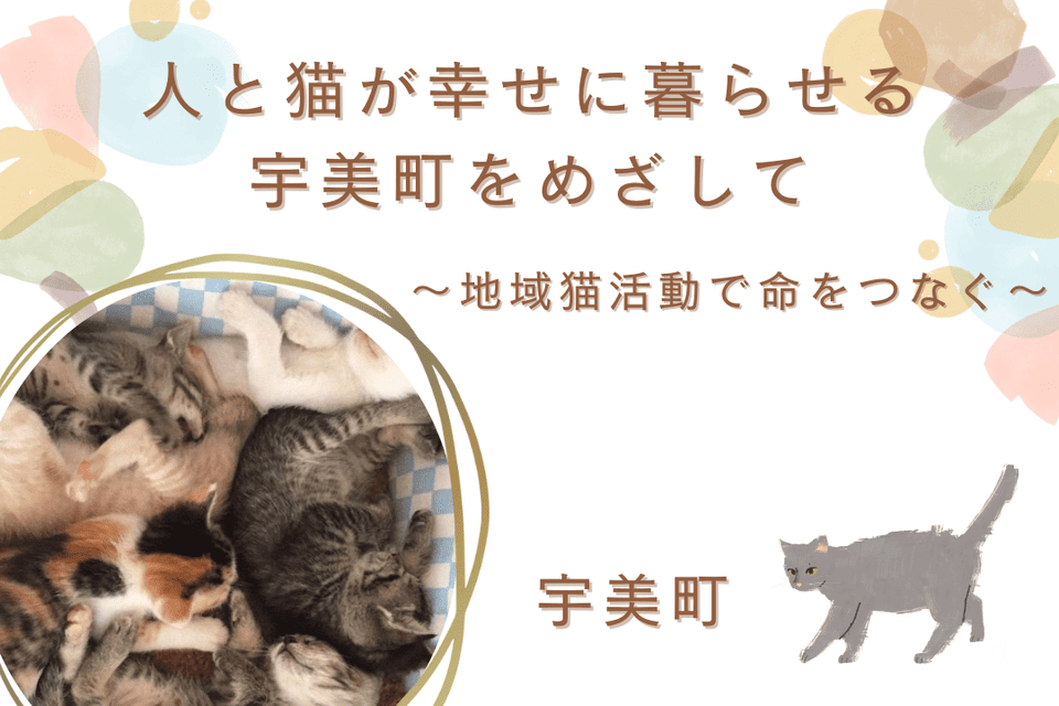 人と猫が幸せに暮らせる宇美町をめざして​～地域猫活動で命をつなぐ～