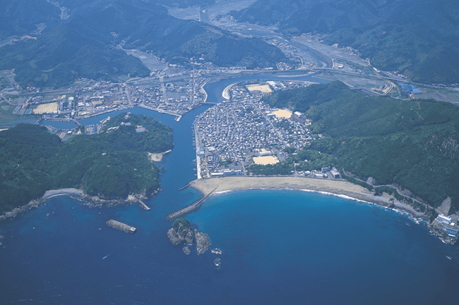 うみがめと共に生きる町プロジェクト