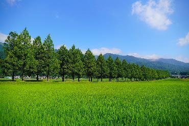 水と緑を未来へつなぐ「恵み」と「誇り」のまちづくりプロジェクト